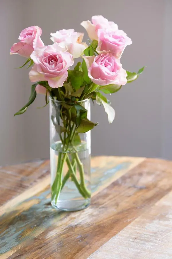 Hof Ter Beuke Bed & Breakfast Bruges