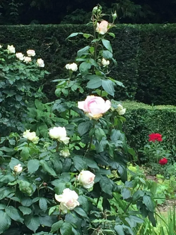 Hof Ter Beuke Bed & Breakfast Bruges