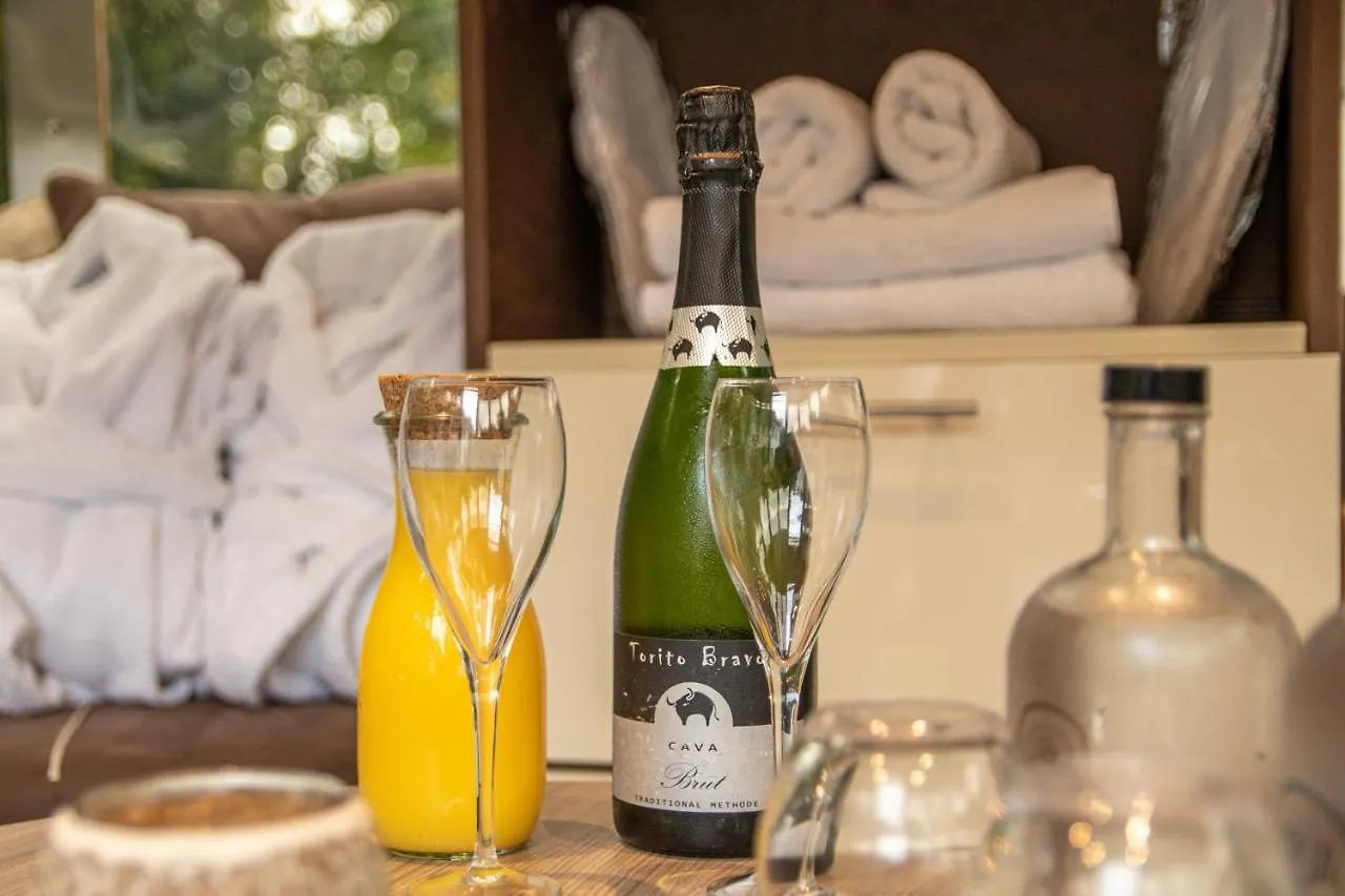 Hof Ter Beuke Bed & Breakfast Bruges